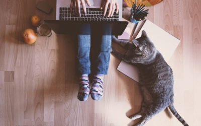 How to stay focused while working from home