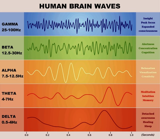 TikTok Tics Fuel Fears of Digital Overload on Developing Brains